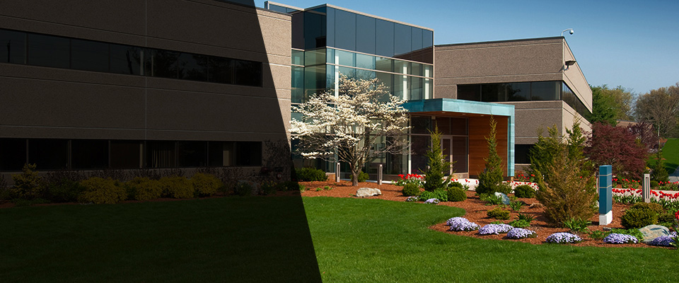 Metuchen Landscapers