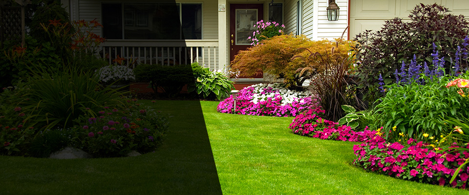 Metuchen Landscapers
